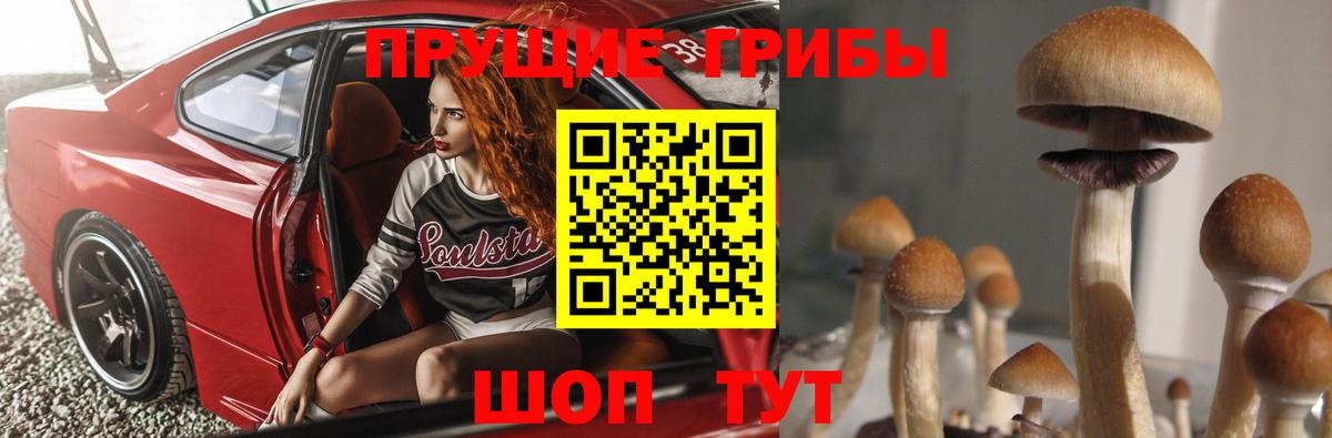 Псилоцибиновые грибы прущие грибы  Вход с VPN  Элиста 